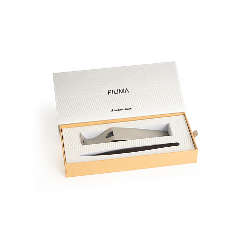 Вечная ручка Pininfarina Piuma A MODERN CLASSIC CHARCOAL